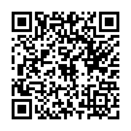 QR code for QZN9233