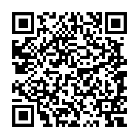 QR code for QZT4919