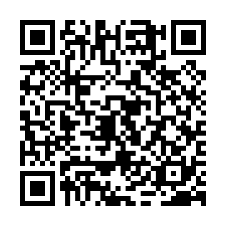 QR code for RIC0303