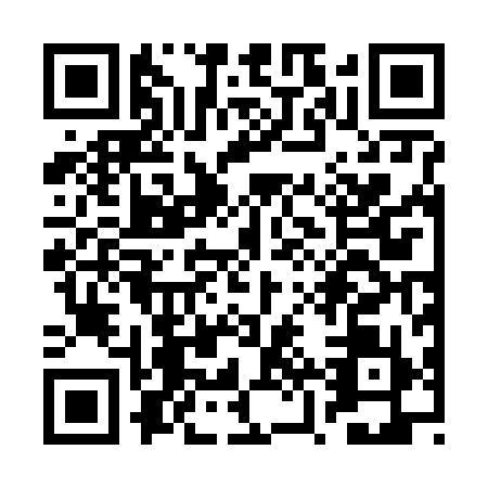 QR code for RZR6991