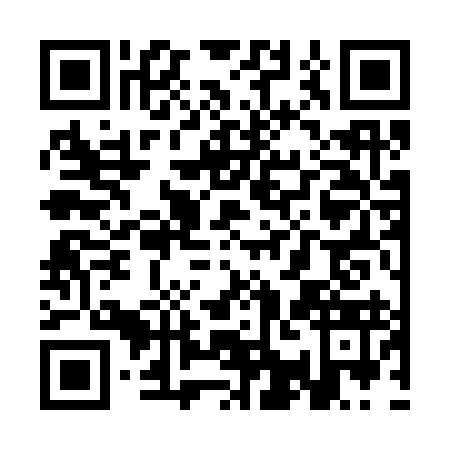 QR code for SAC3938