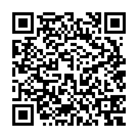 QR code for SEG6382