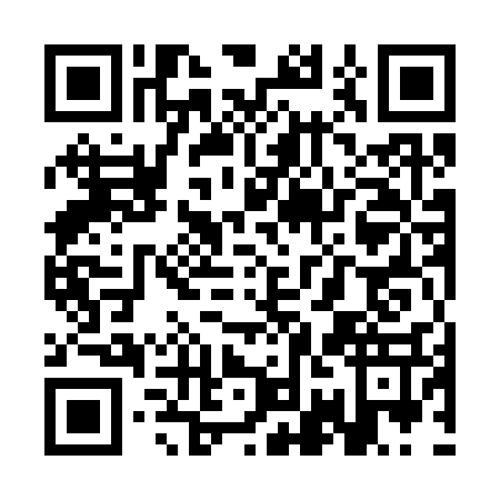 QR code for SOM3379