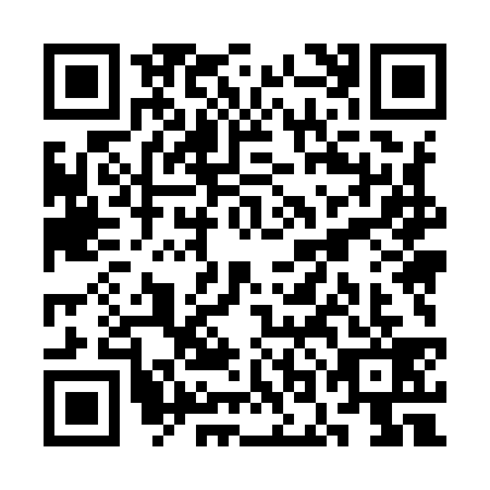 QR code for SOM9394