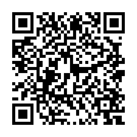 QR code for SPI0462