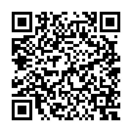 QR code for SSO0446