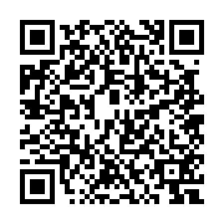 QR code for SYR0528