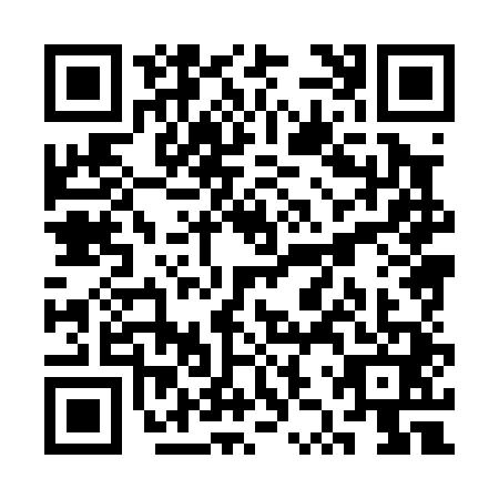 QR code for SZX0417