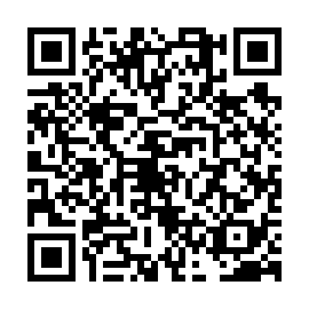 QR code for TCA6383