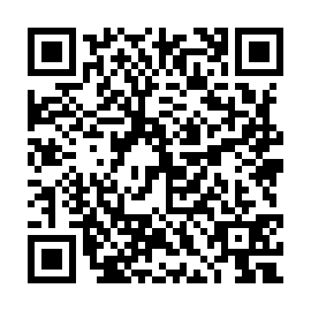 QR code for THM9313