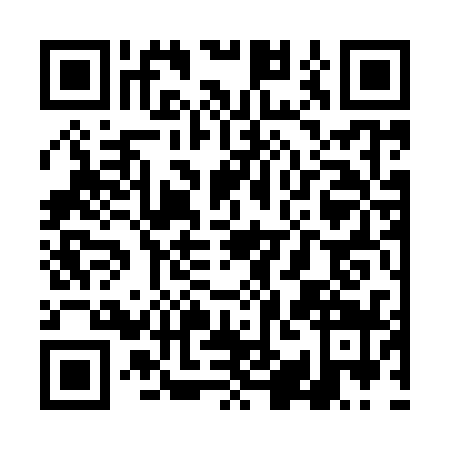 QR code for TIC9397