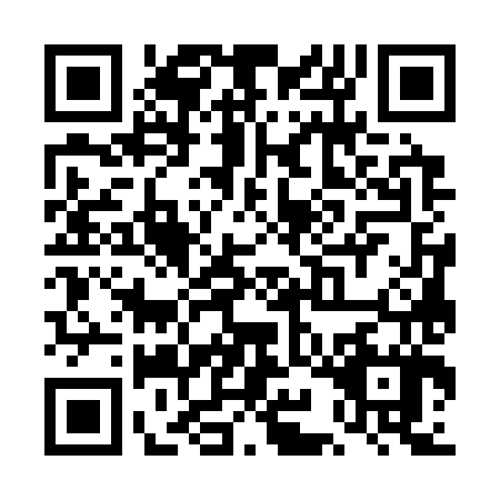 QR code for TIG3871