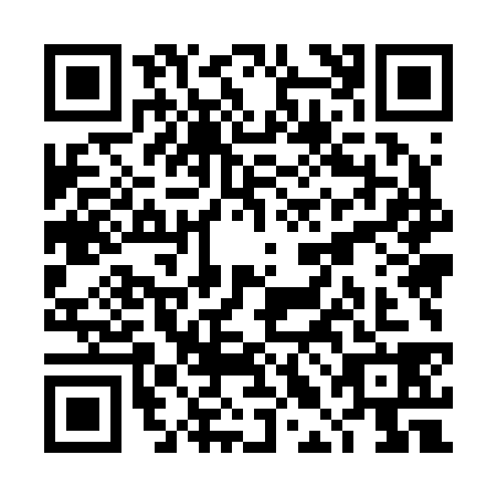 QR code for TLM2381