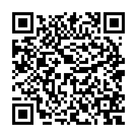 QR code for TMM2046