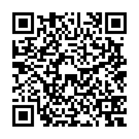 QR code for TOO0397