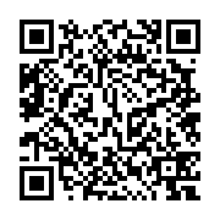 QR code for TUR0393