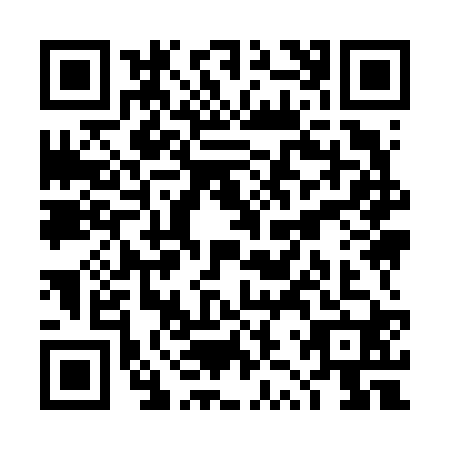 QR code for TZY6203
