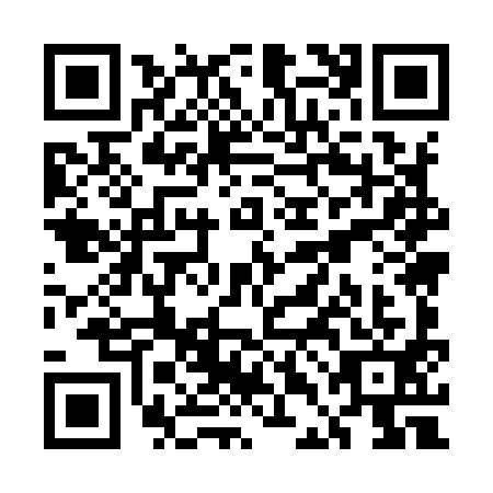 QR code for UDM9919