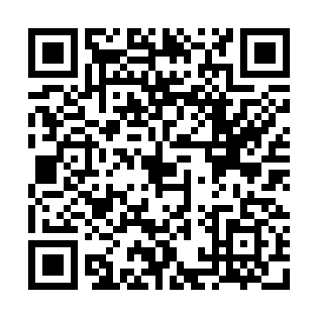 QR code for VAZ3393