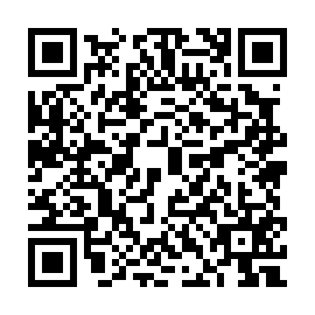 QR code for VDM0553