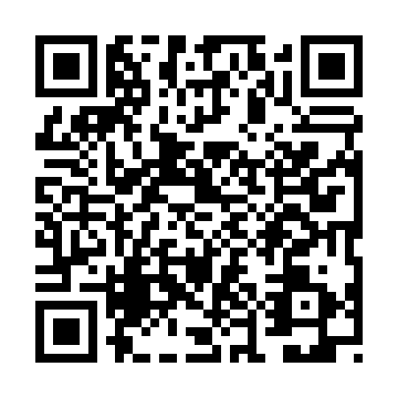 QR code for VEI0310