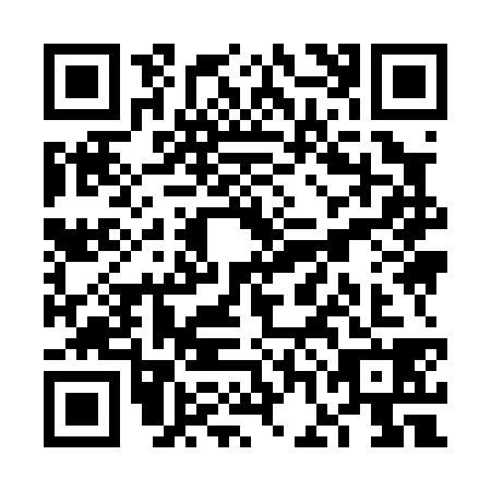 QR code for VGI0383