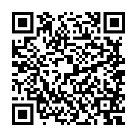 QR code for VIJ8833