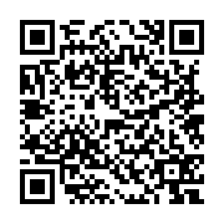 QR code for VIR9369