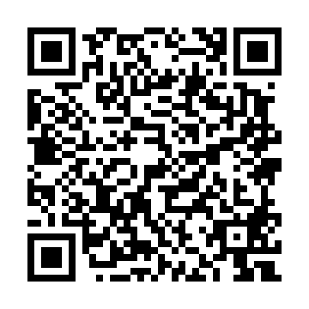 QR code for VJY4885