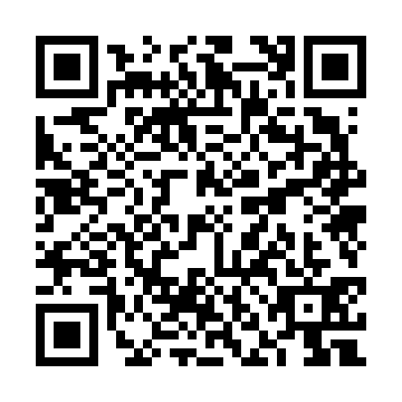 QR code for VNO6313
