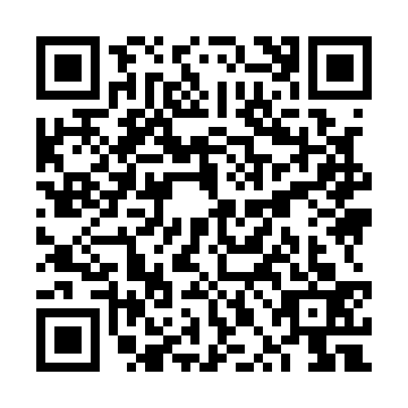 QR code for VPI1339