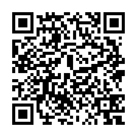 QR code for VSI6393