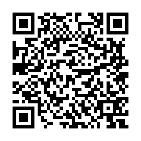 QR code for VYO8737