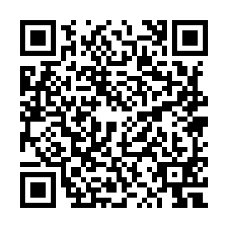 QR code for VZQ9913