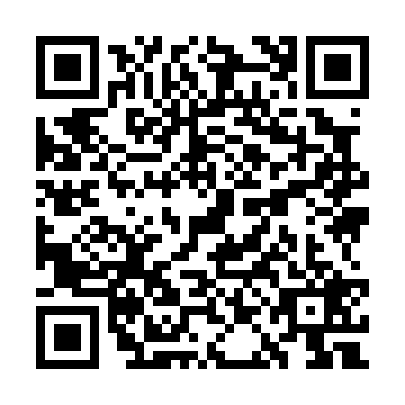 QR code for WAI0293