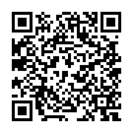 QR code for WCO0538