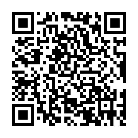 QR code for WII8302