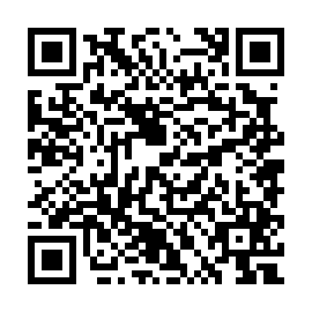 QR code for WPN0453