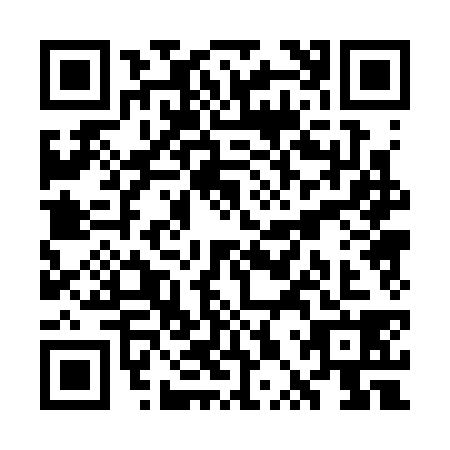 QR code for WPP3385