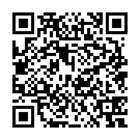 QR code for WPP6380