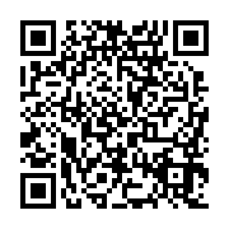 QR code for WZZ2933