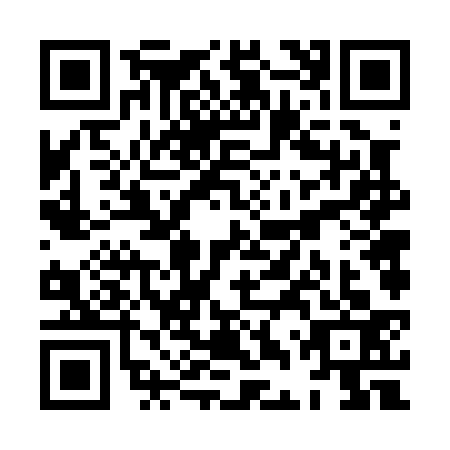 QR code for XDV0334