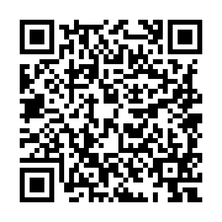 QR code for XIO9951