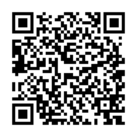 QR code for XJG2991