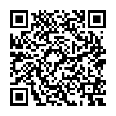 QR code for XKI2005
