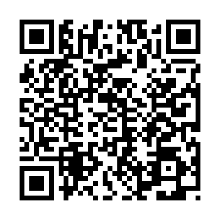 QR code for XNX2941