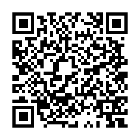 QR code for XSS4739
