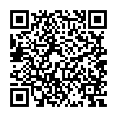 QR code for YBB8833