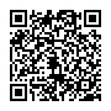 QR code for YJG2013