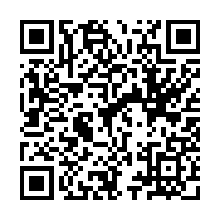 QR code for YYA2291